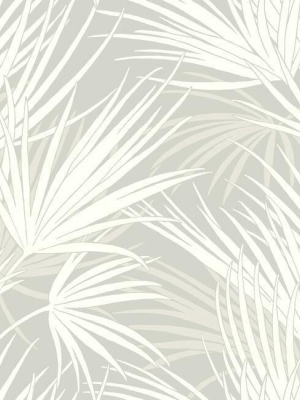 Palmetto Wallpaper In Grey From The Silhouettes Collection By York Wallcoverings