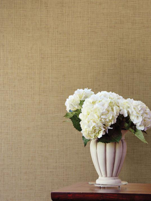 Pavel Sand Grasscloth Wallpaper From The Jade Collection By Brewster Home Fashions