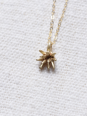 Urchin Necklace