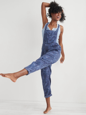 Aerie Twill Floral Overall