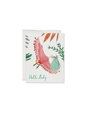 Bird With Baby Card