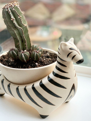 Zebra Savannah Garden Pot By Justina Blakeney™