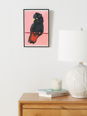 Red-tailed Black Cockatoo Wall Art