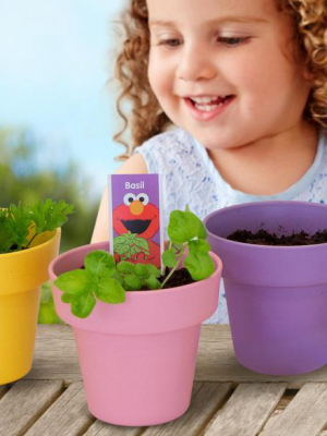 Abby's Garden <br> Planting Activity Set