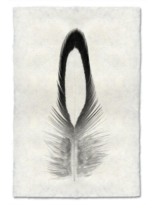 Feather Study #14