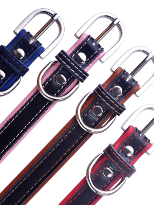 Tonny & Friends - Pet Id Collars (xs-l)