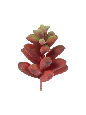 Vickerman 4" Assorted Succulent Picks.