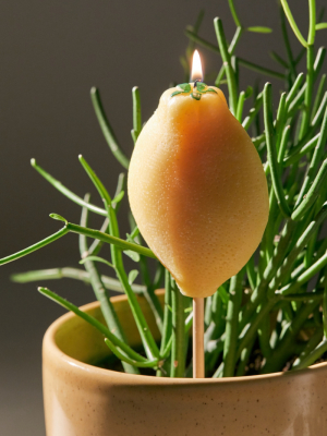 Citronella Stick Candle