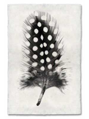 Feather Study #1 Print