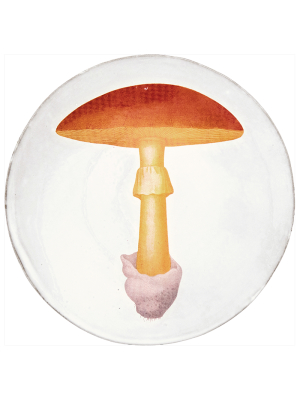 Yellow Agaric Oronge Dinner Plate