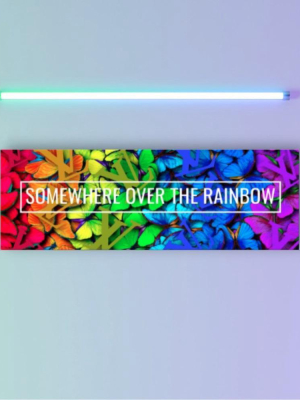 Somewhere Over The Rainbow Butterfly Lv Canvas Wall Art