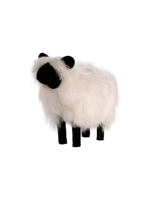 Lamb Fur Sheep