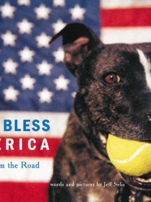 Dog Bless America