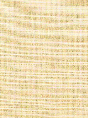 Klaudia Champagne Foil Grasscloth Wallpaper From The Jade Collection By Brewster Home Fashions