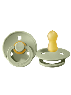 Bibs Pacifier 2 Pack: Sage