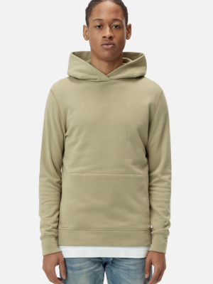 Hooded Villain / Sage