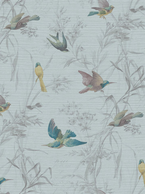 Birds Of Paradise Wallpaper In Turquoise From The Sanctuary Collection By Mayflower Wallpaper