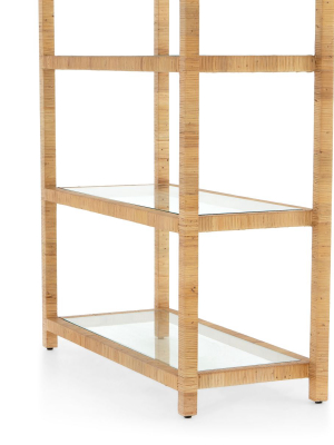 Dierdre Bookshelf