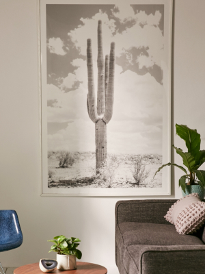 Wilder California Solo Saguaro Art Print