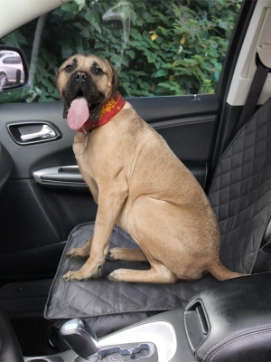 Dog Front Seat -car Cover