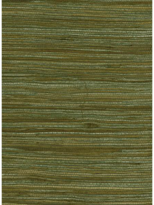 Water Hyacinth Grasscloth Wallpaper In Greens And Tan From The Natural Resource Collection By Seabrook Wallcoverings