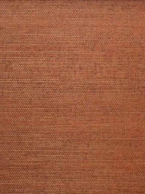 Sisal Wallpaper In Burnt Orange From The Winds Of The Asian Pacific Collection By Burke Decor