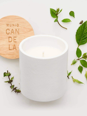 The Munio - Peppermint Candle In White Ceramic Votive