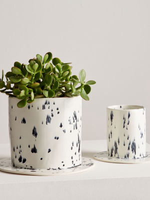 Sin Dalmatian Well Planter