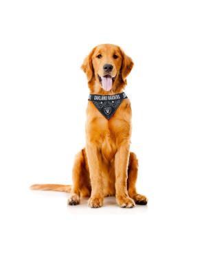 The Oakland Raiders | Pet Bandana