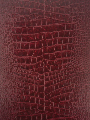 Sample Crocodilo Wallpaper In Red From The Metropolis Collection By Osborne & Little