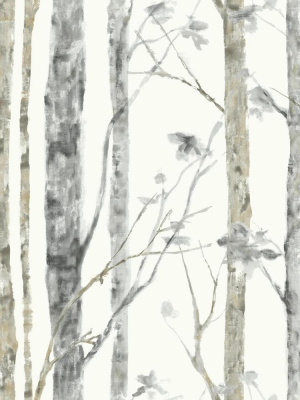 Trees Peel & Stick Wallpaper In White And Brown By Roommates For York Wallcoverings