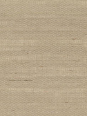 Plain Grass Wallpaper In Beige From The Grasscloth Ii Collection By York Wallcoverings