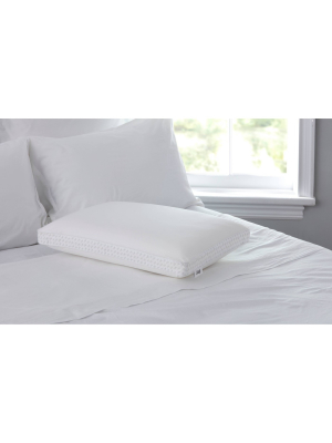 Standard Memory Foam Bed Pillow - Sealy