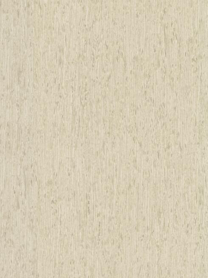 Rugged Bark Wallpaper In Off-white From The Simply Farmhouse Collection By York Wallcoverings