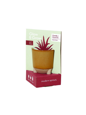 Desert Oasis Glow + Grow Candle