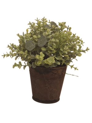 Transpac Artificial 7 In. Green Spring Eucalyptus Greens Floral Display In Pot