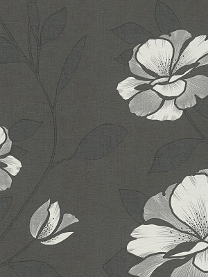 Floral Nature Wallpaper In Grey And Black Design By Bd Wall