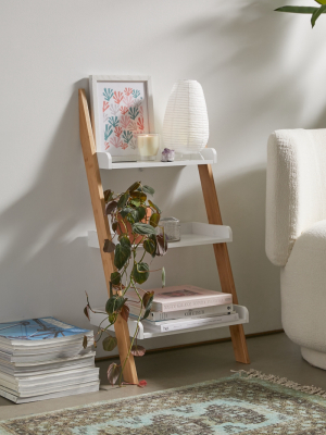 3-tier Leaning Ladder Shelf