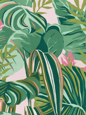 Tropical Foliage Wallpaper In Green And Pink From The Palm Springs Collection By Mind The Gap