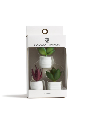 3ct Succulent Plant Magnets - U-brands