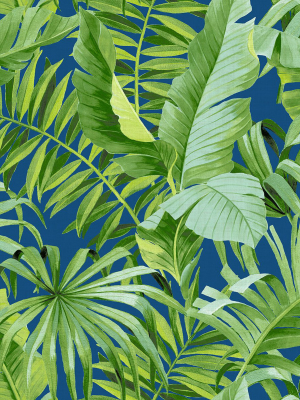 Alfresco Tropical Palm Wallpaper In Jade From The Pacifica Collection By Brewster Home Fashions