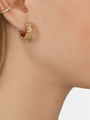 Gold Plated Lory Earrings