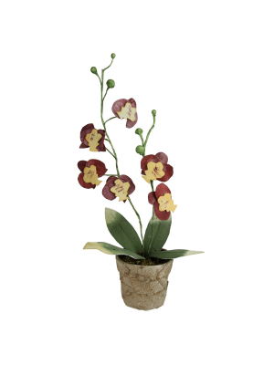 Northlight 14" Orchid Flower Artificial Potted Plant - Red/yellow