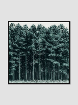 Minted For West Elm - Through The Trees