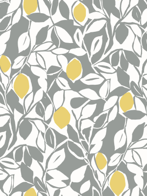 Loretto Citrus Wallpaper In Grey From The Pacifica Collection By Brewster Home Fashions