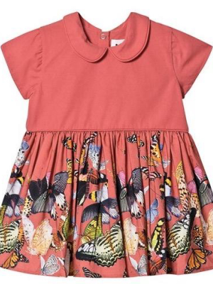 Molo Cinna Dress - Baby Papillon