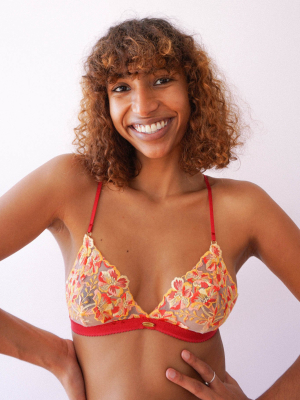 Noah Triangle Bralette