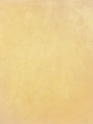 Lemon Sorbet
