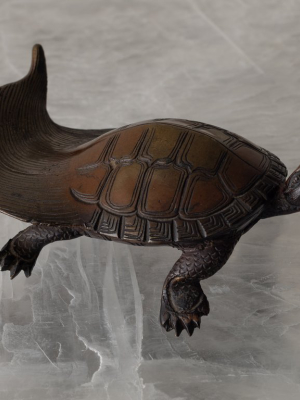 Japanese 'minogame' Turtle