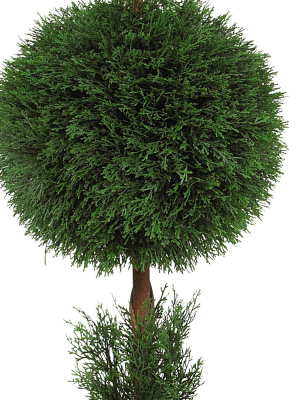 Artificial 5ft Cypress Ball And Cone Silk Tree Indoor/outdoor - Nearly Natural